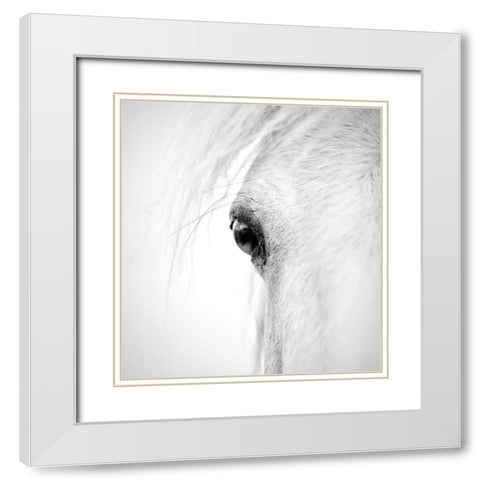Horse Eye White Modern Wood Framed Art Print with Double Matting by Zhao, Alex
