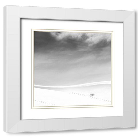 Single Tree White Modern Wood Framed Art Print with Double Matting by Nodeh, Mostafa