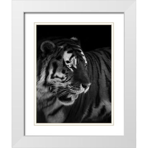 The King White Modern Wood Framed Art Print with Double Matting by Zhao, Alex