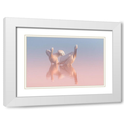 Two Pelicans White Modern Wood Framed Art Print with Double Matting by Rublina, Natalia