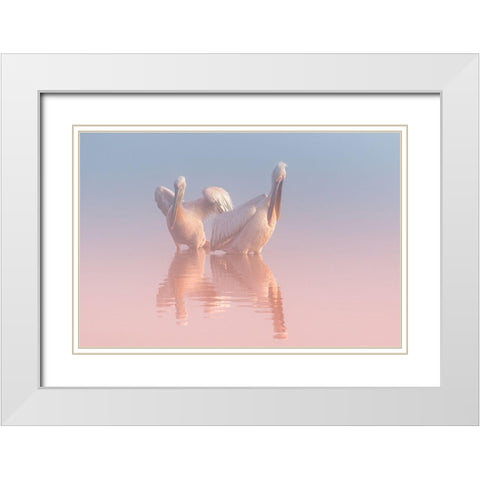 Two Pelicans White Modern Wood Framed Art Print with Double Matting by Rublina, Natalia