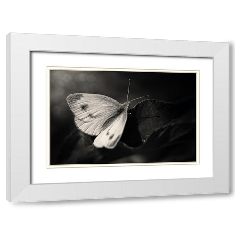 The Escape White Modern Wood Framed Art Print with Double Matting by Michael