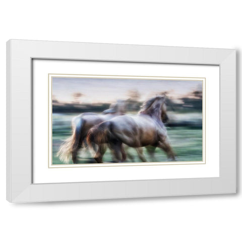 Born Free to Follow your Heart White Modern Wood Framed Art Print with Double Matting by Gerber, Charlaine