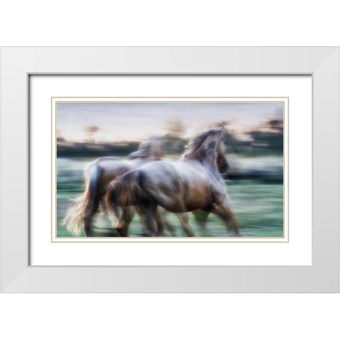 Born Free to Follow your Heart White Modern Wood Framed Art Print with Double Matting by Gerber, Charlaine