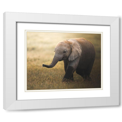 Falafelo White Modern Wood Framed Art Print with Double Matting by Sobhi, Ahmed