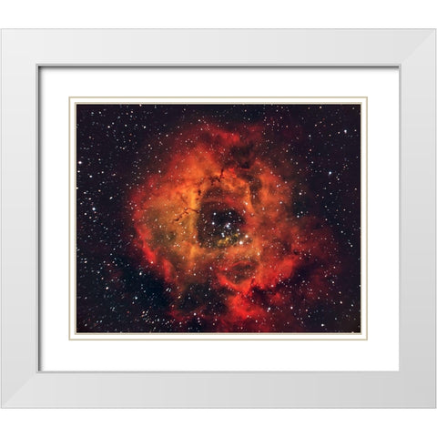 The Rose in the Sky White Modern Wood Framed Art Print with Double Matting by Auf dem, Andrea