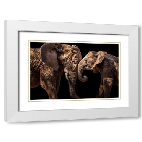 Elephants White Modern Wood Framed Art Print with Double Matting by Martins, Vitor