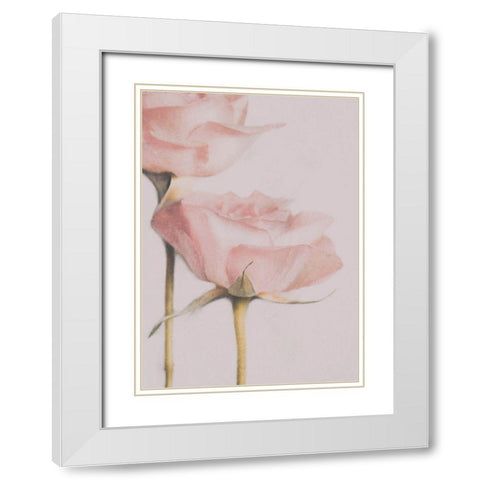 Two Roses White Modern Wood Framed Art Print with Double Matting by Devos, Delphine