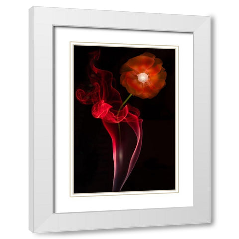 Red Buttercup White Modern Wood Framed Art Print with Double Matting by Yakubovitch, Azriel