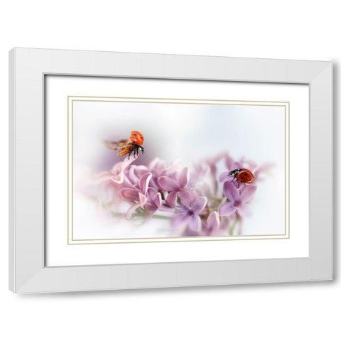 Almost Summer White Modern Wood Framed Art Print with Double Matting by Deelen, Ellen van