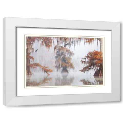 Mysty Bayou White Modern Wood Framed Art Print with Double Matting by Marchegiani, Roberto