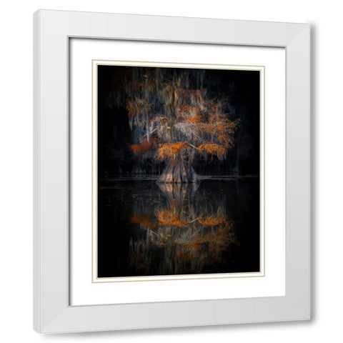 Cypress Reflection White Modern Wood Framed Art Print with Double Matting by Zheng, Michael