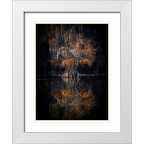 Cypress Reflection White Modern Wood Framed Art Print with Double Matting by Zheng, Michael