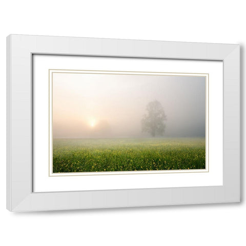 Spring Decoration White Modern Wood Framed Art Print with Double Matting by Fan, John