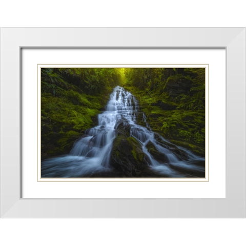 Staircase Falls White Modern Wood Framed Art Print with Double Matting by Dyar, Ryan