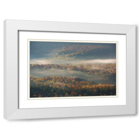 Misty Morning White Modern Wood Framed Art Print with Double Matting by Austin