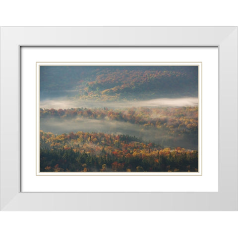 Misty Morning White Modern Wood Framed Art Print with Double Matting by Austin