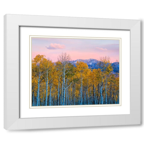 Autumn Delight White Modern Wood Framed Art Print with Double Matting by Fan, John