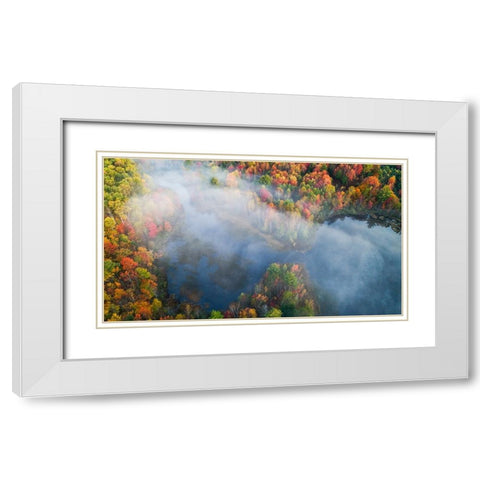 Autumn Symphony I White Modern Wood Framed Art Print with Double Matting by Fan, John