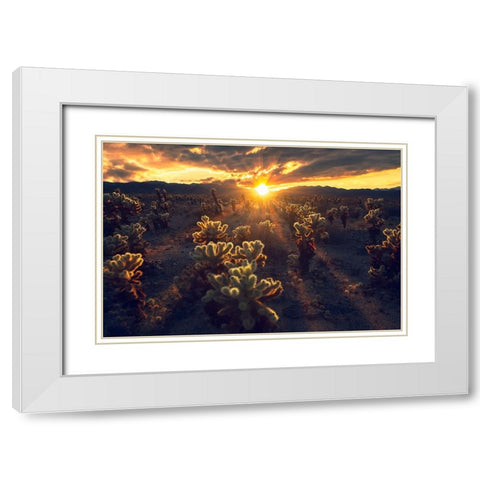 Kingdom Of Chola White Modern Wood Framed Art Print with Double Matting by Bandyopadhyay, Atanu