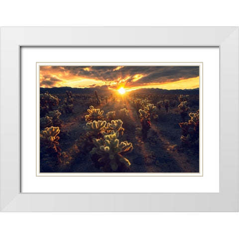 Kingdom Of Chola White Modern Wood Framed Art Print with Double Matting by Bandyopadhyay, Atanu