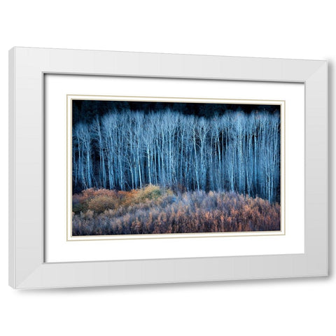 End of Autumn White Modern Wood Framed Art Print with Double Matting by Xu, Mei