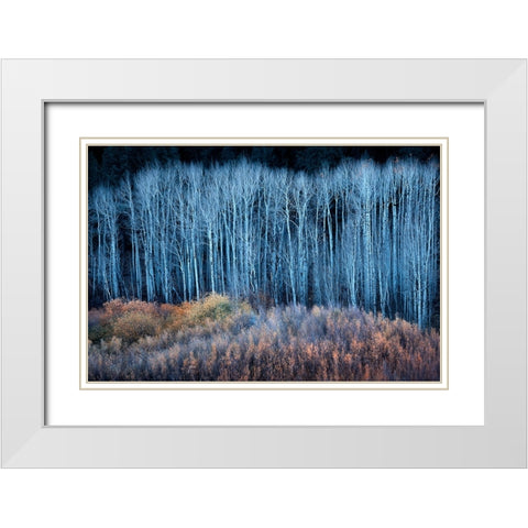 End of Autumn White Modern Wood Framed Art Print with Double Matting by Xu, Mei