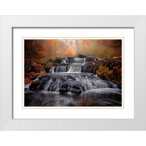 Fall of Fall White Modern Wood Framed Art Print with Double Matting by Wei, Shi aamp