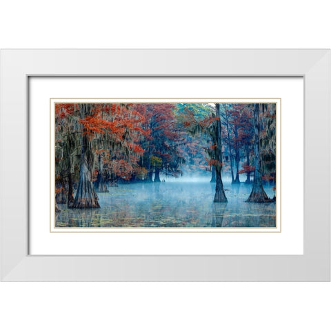 Caddo Lake White Modern Wood Framed Art Print with Double Matting by Bian, James