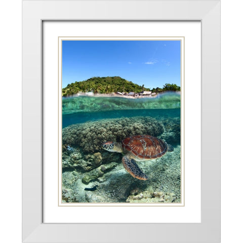 Along shore White Modern Wood Framed Art Print with Double Matting by Narchuk, Andrey