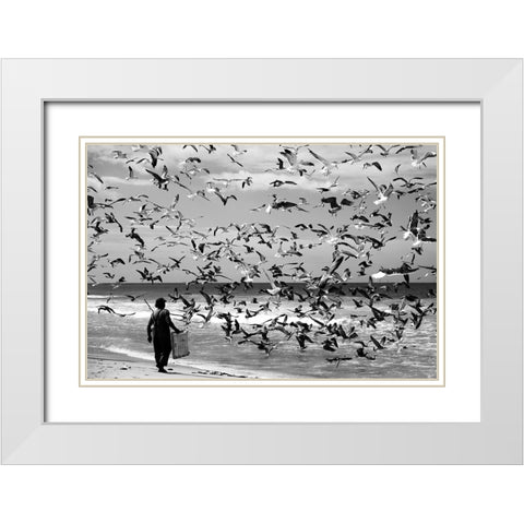 Birds birds White Modern Wood Framed Art Print with Double Matting by van der, Liesbeth