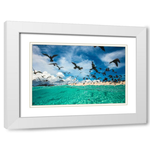 Ocean bird White Modern Wood Framed Art Print with Double Matting by Gabriel, Barathieu