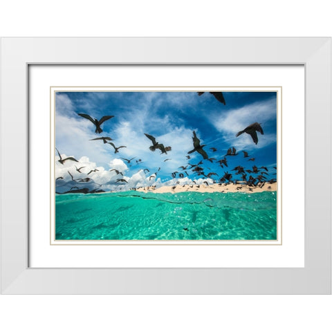 Ocean bird White Modern Wood Framed Art Print with Double Matting by Gabriel, Barathieu