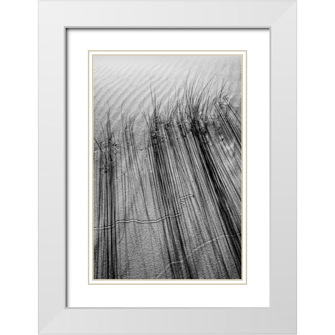 DUNE #7 White Modern Wood Framed Art Print with Double Matting by Rousse, Pascal