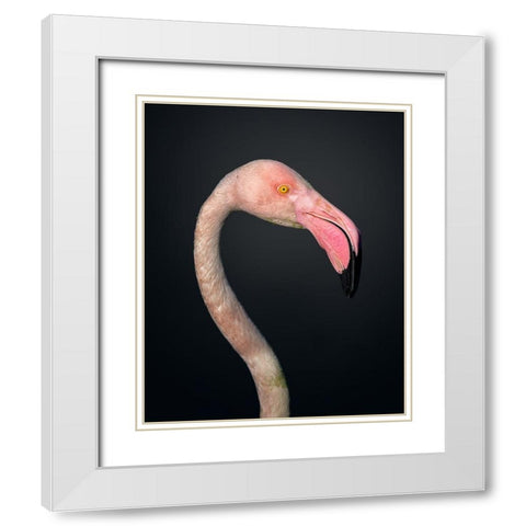 F L A M B O Y A N C E White Modern Wood Framed Art Print with Double Matting by Fegari