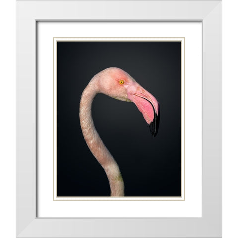 F L A M B O Y A N C E White Modern Wood Framed Art Print with Double Matting by Fegari