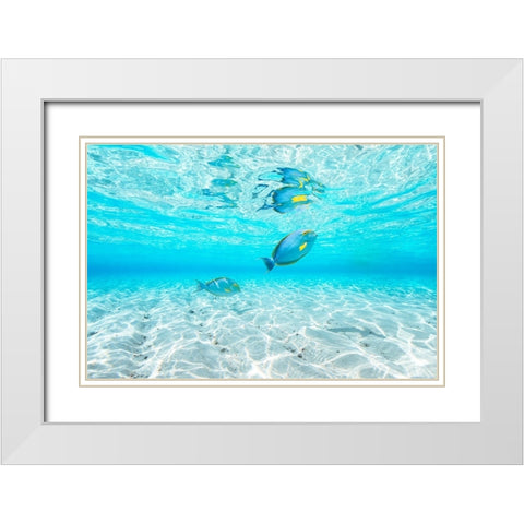 Blue lagoon White Modern Wood Framed Art Print with Double Matting by Gabriel, Barathieu