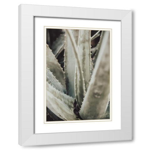 Aloe 001 White Modern Wood Framed Art Print with Double Matting by Artographie Studio