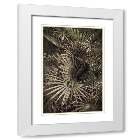 Palmblad 003 White Modern Wood Framed Art Print with Double Matting by Artographie Studio