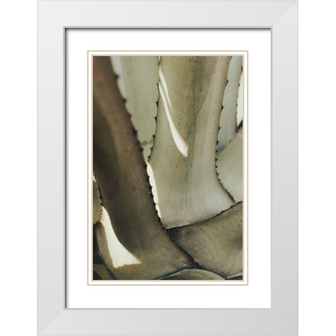 Agave 002 White Modern Wood Framed Art Print with Double Matting by Artographie Studio