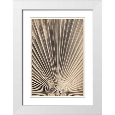 Solaris 07 White Modern Wood Framed Art Print with Double Matting by Artographie Studio