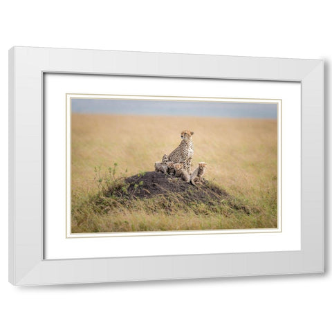 Regal Protector White Modern Wood Framed Art Print with Double Matting by Taylor, Ted