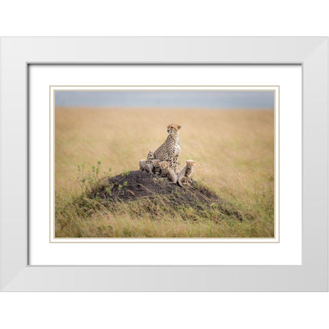 Regal Protector White Modern Wood Framed Art Print with Double Matting by Taylor, Ted