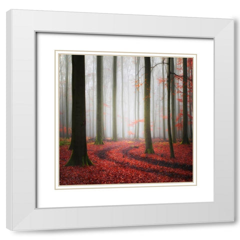 Autumnal Tracks White Modern Wood Framed Art Print with Double Matting by Meyerdierks, Carsten