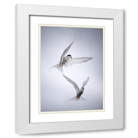 Arctic Tango White Modern Wood Framed Art Print with Double Matting by Fegari