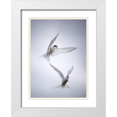 Arctic Tango White Modern Wood Framed Art Print with Double Matting by Fegari