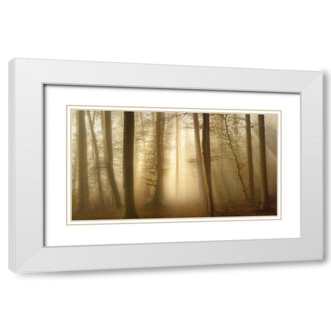 Into the Trees White Modern Wood Framed Art Print with Double Matting by Maier, Norbert