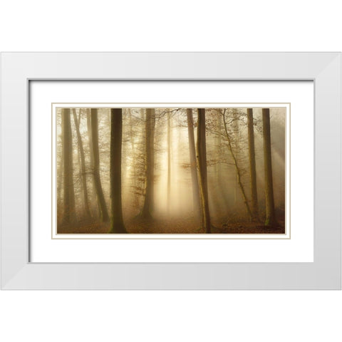 Into the Trees White Modern Wood Framed Art Print with Double Matting by Maier, Norbert