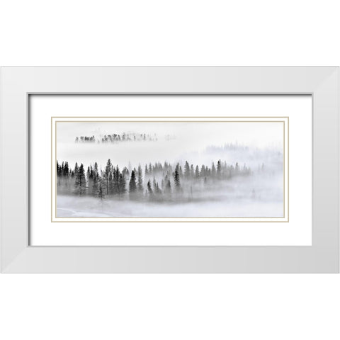 Foggy Forest White Modern Wood Framed Art Print with Double Matting by Xu, Mei