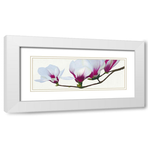 Magnolia White Modern Wood Framed Art Print with Double Matting by Andrew, Stephanie